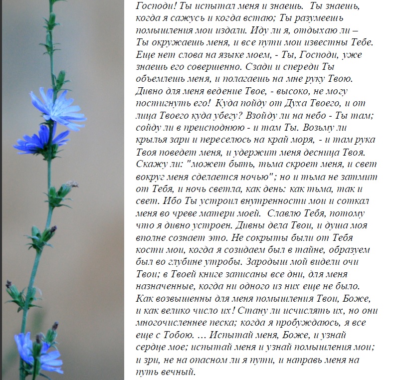 Псалом 138